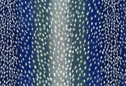 Picture of NERI-NAVY