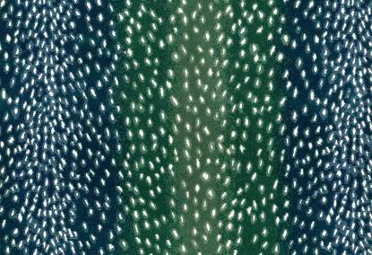 Picture of NERI-OCEAN