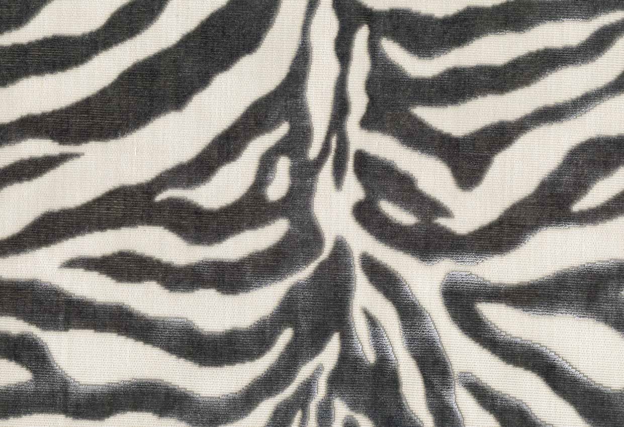 Picture of RONGO-COIN