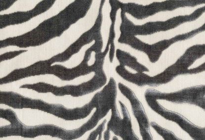 Picture of RONGO-COIN