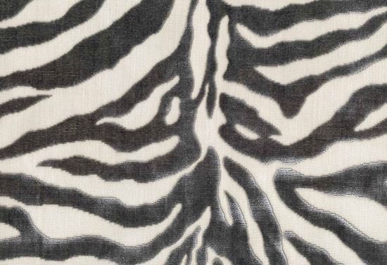 Picture of RONGO-COIN