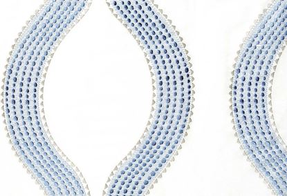 Picture of UNNA-LARKSPUR