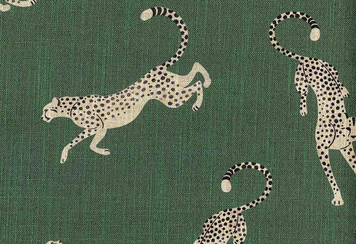 Picture of BAGHEERA-BAYLEAF