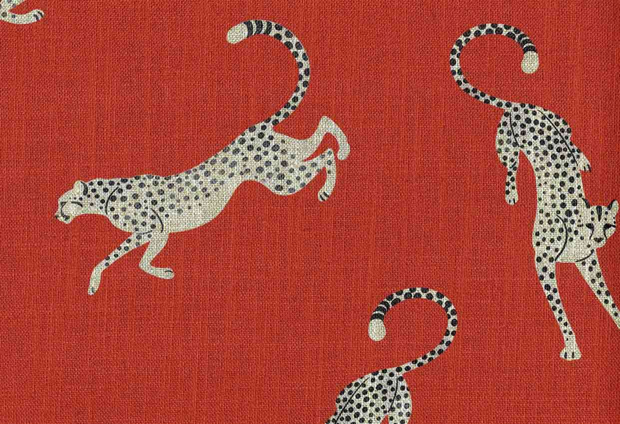 Picture of BAGHEERA-CHILI