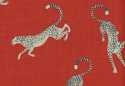 Picture of BAGHEERA-CHILI