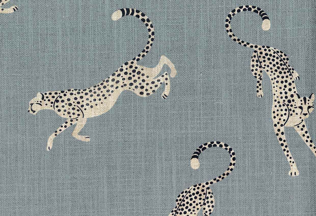 Picture of BAGHEERA-SKY