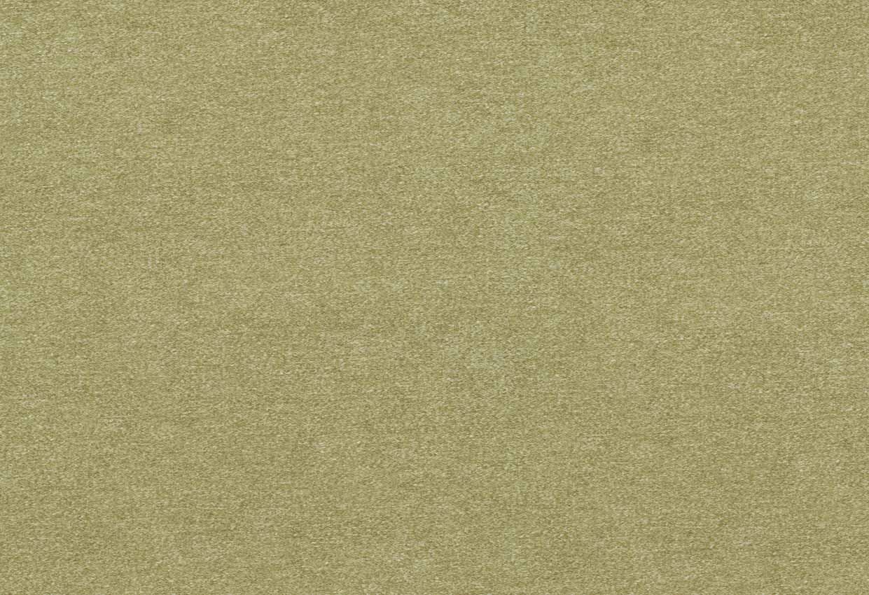 Picture of ISHA-ASPARAGUS