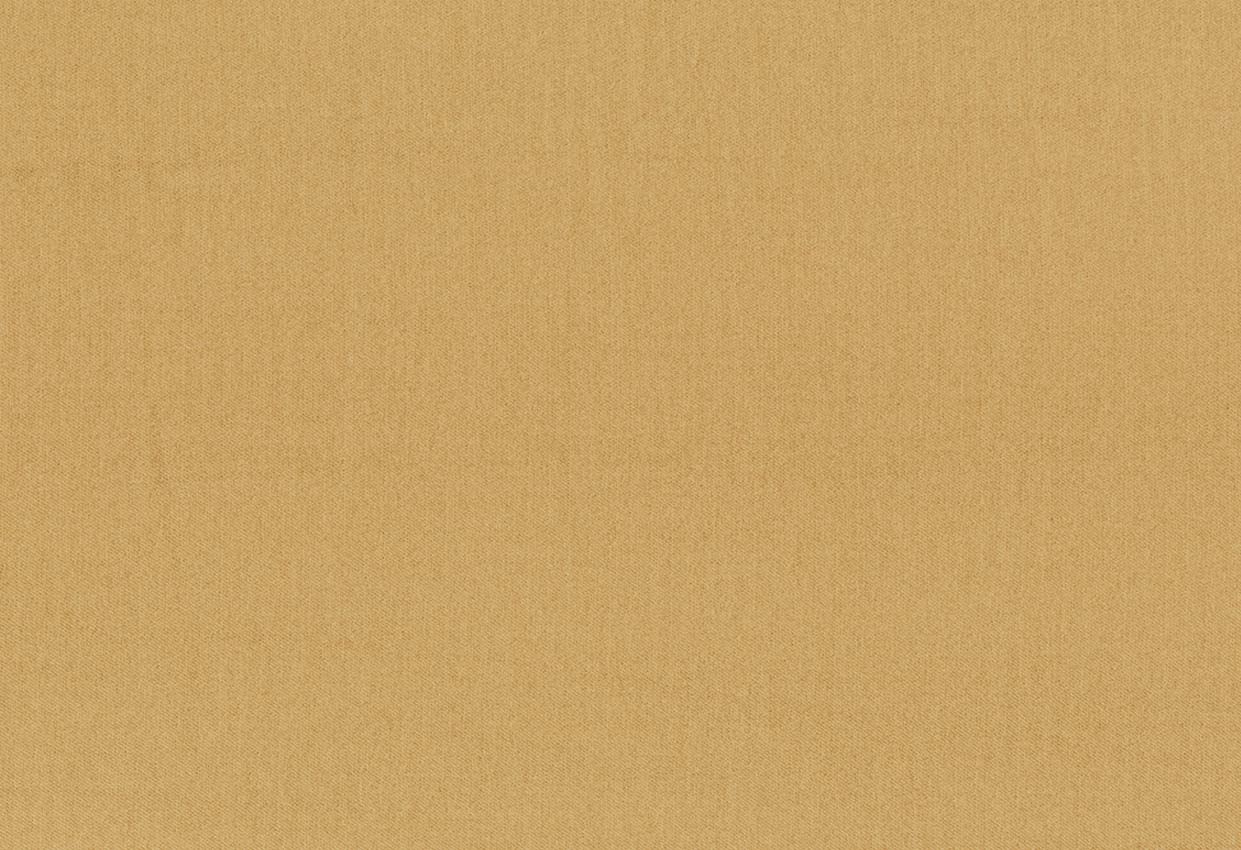 Picture of ISHA-CAMEL