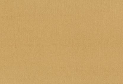 Picture of ISHA-CAMEL