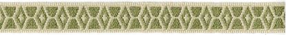 Picture of UCHANIE WOVEN TAPE-FERN