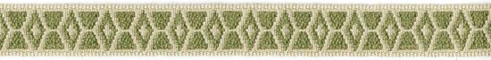 Picture of UCHANIE WOVEN TAPE-FERN