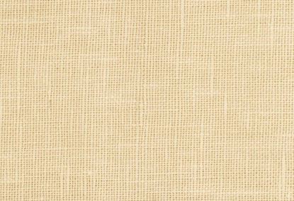 Picture of JASMINE-STUCCO