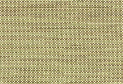 Picture of SHERRY-CELERY