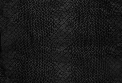 Picture of VOGAR-EBONY