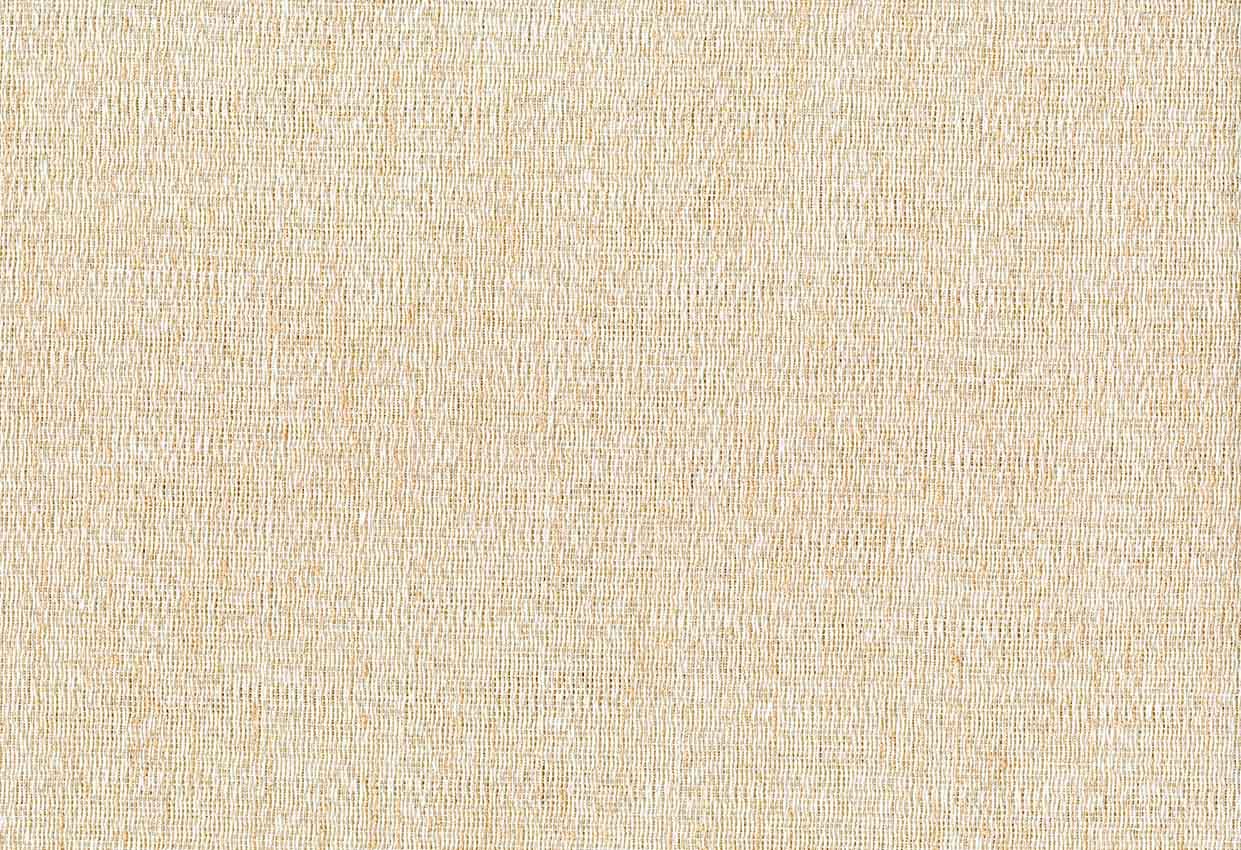 Picture of GULHANE-SHELL