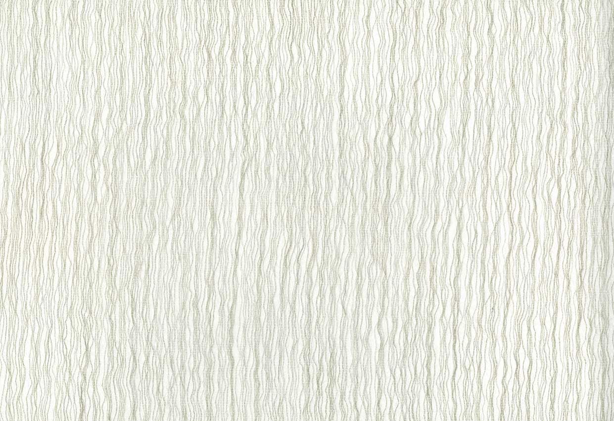 Picture of KOMODO-OYSTER