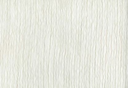 Picture of KOMODO-OYSTER