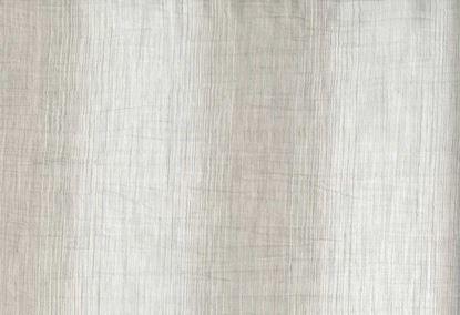 Picture of SANTOS-OYSTER