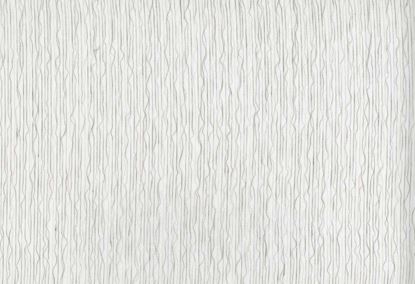 Picture of MACIEO-OYSTER