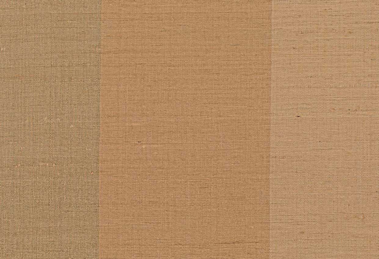 Picture of BORIS-CAMEL