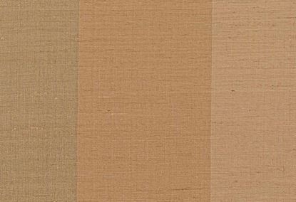 Picture of BORIS-CAMEL