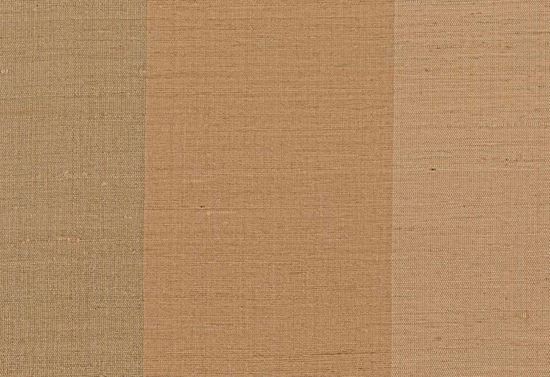 Picture of BORIS-CAMEL