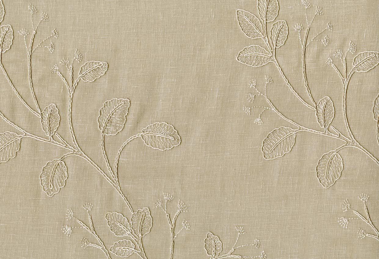 Picture of WAMINA-BRULEE