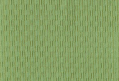 Picture of BONNIE-LIME