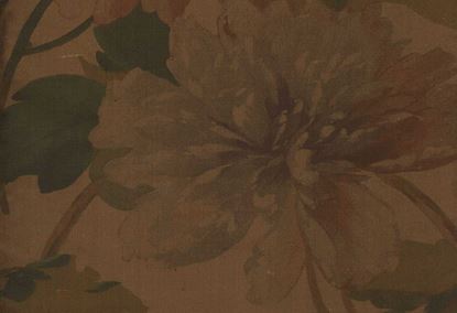 Picture of HANNAH-COCOA