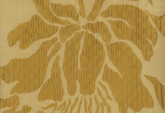 Picture of ALEXA-GOLD