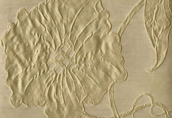 Picture of TAYLOR-SAGE