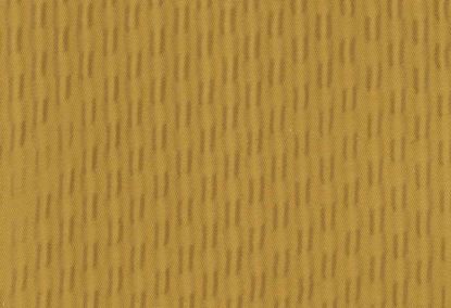 Picture of BONNIE-GOLD