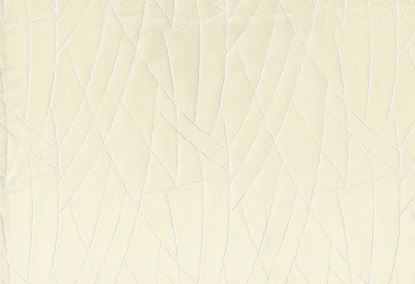 Picture of VINCENT-LATTE