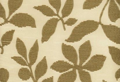 Picture of ELISE-OYSTER