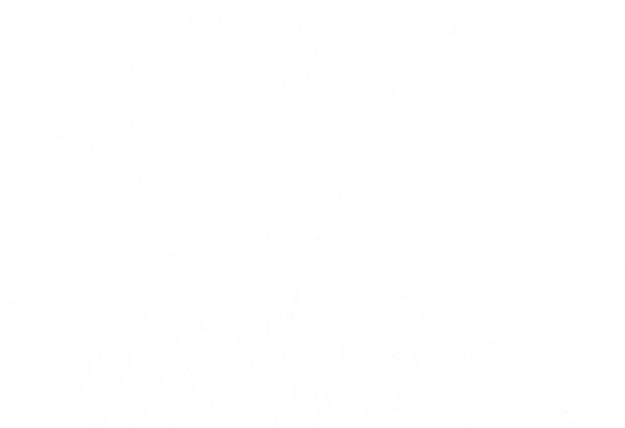 Picture of TURKS-ECRU