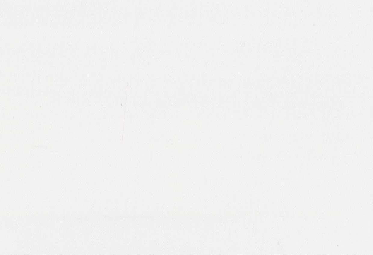 Picture of TURKS-OFFWHITE