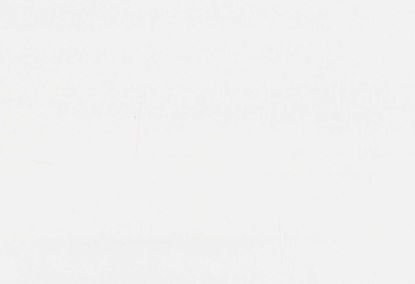 Picture of TURKS-OFFWHITE