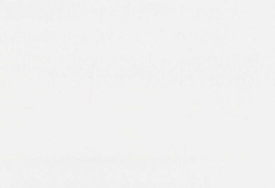 Picture of TURKS-OFFWHITE