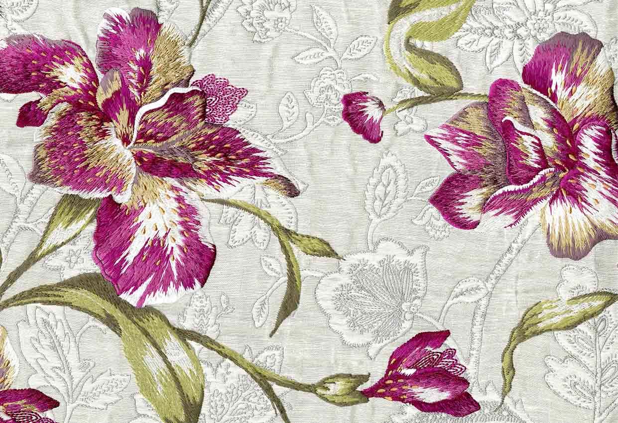 Picture of HEREFORD-MAGENTA