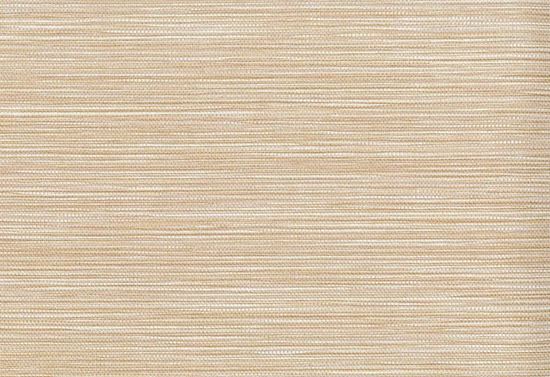 Picture of PONGI WC-DUNE