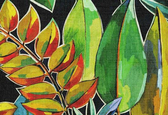 Picture of UDAIPUR WC-TOUCAN