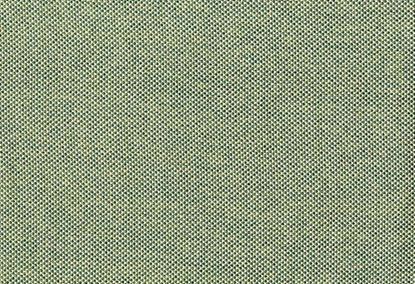 Picture of SAGAPONACK-PALM