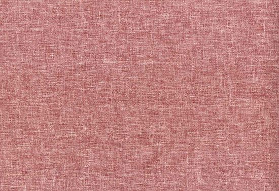 Picture of ALINA-BEET