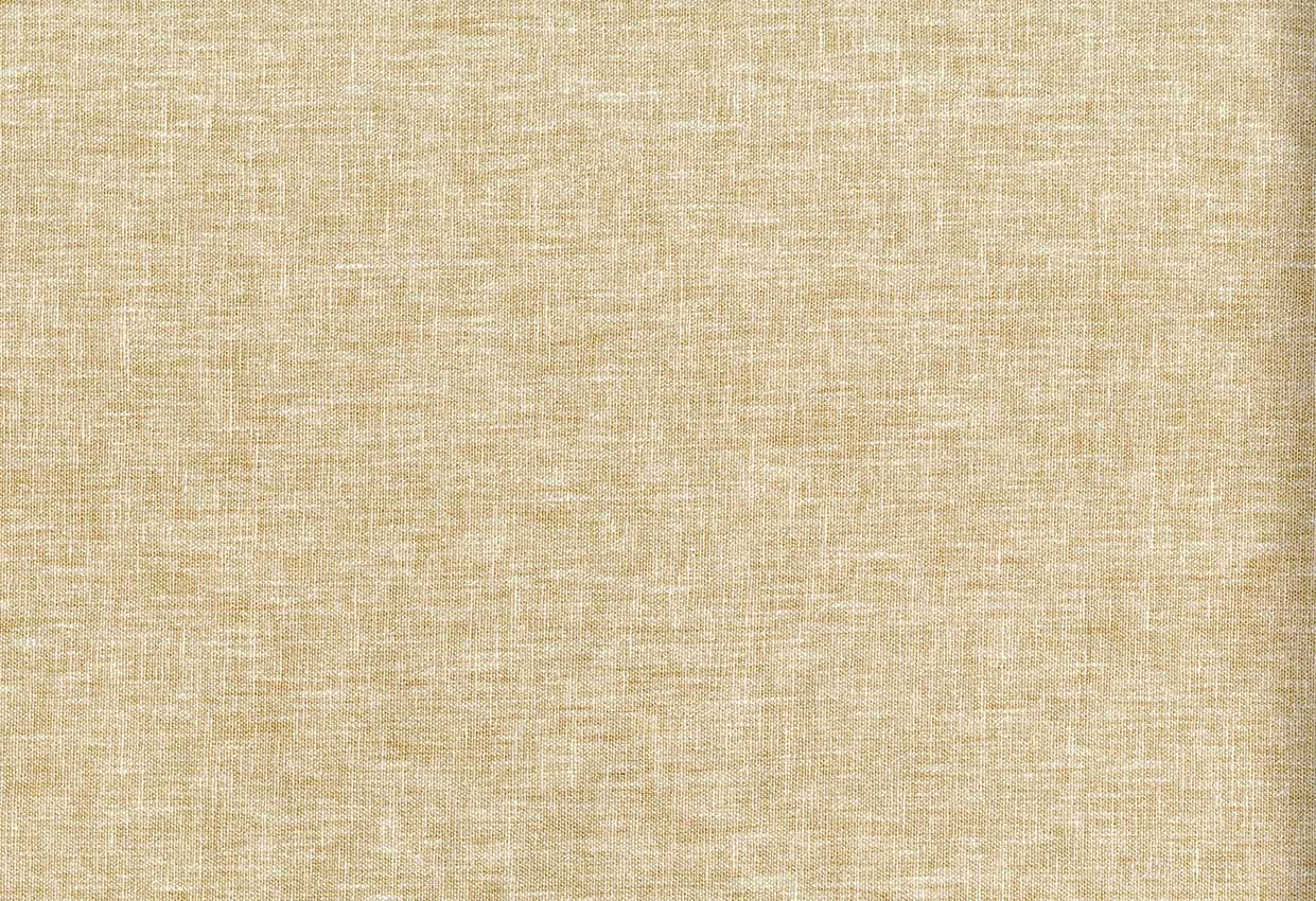 Picture of ALINA-GINGER