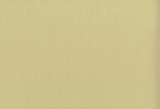 Picture of CAYMAN-BUTTER