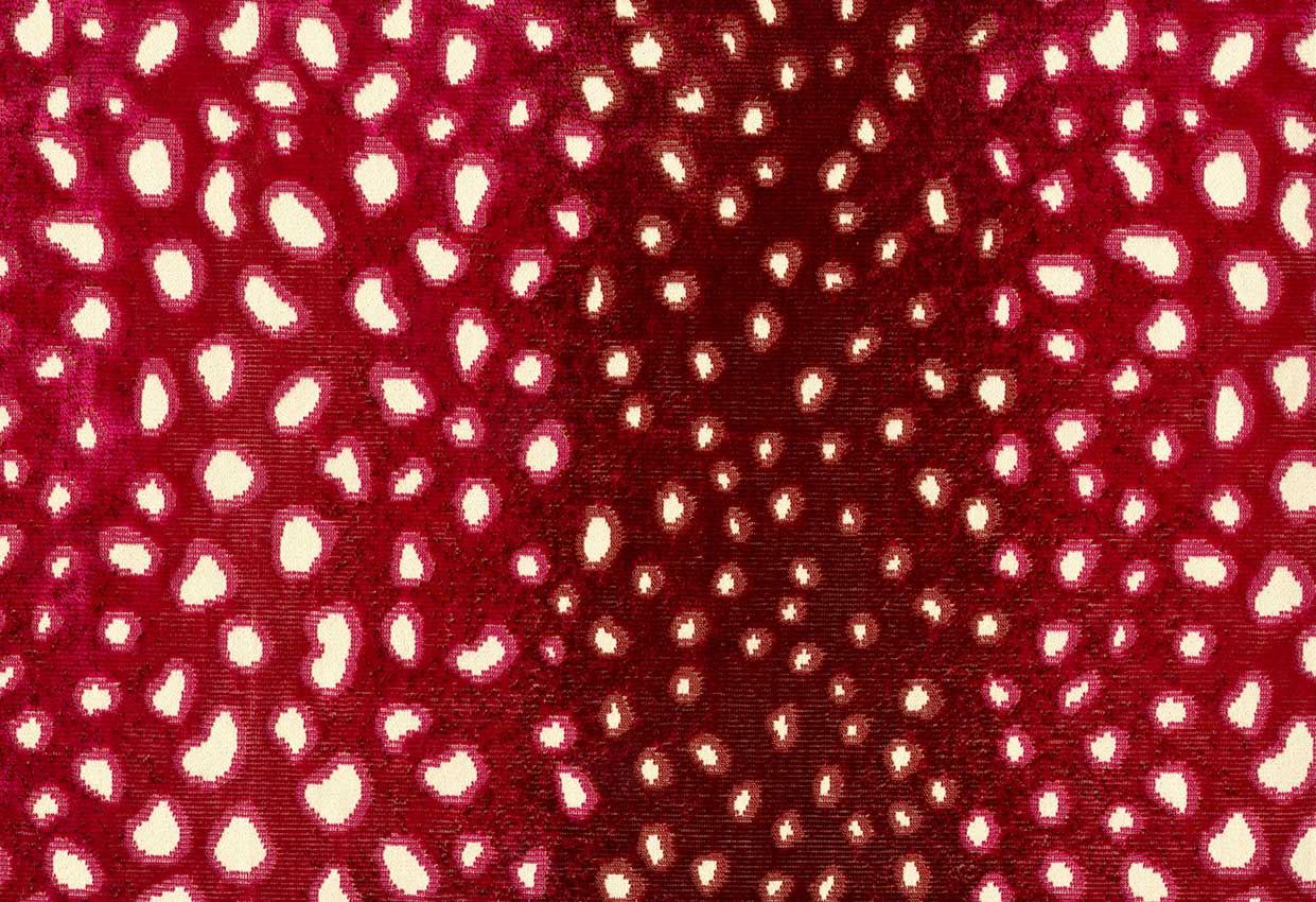 Picture of CHIMAY-RASPBERRY