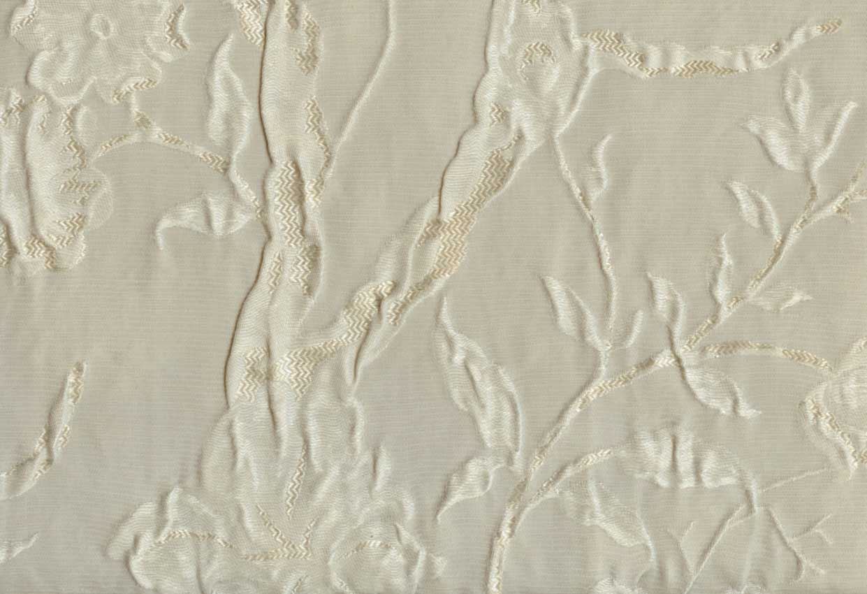 Picture of CLARA-CHAMPAGNE