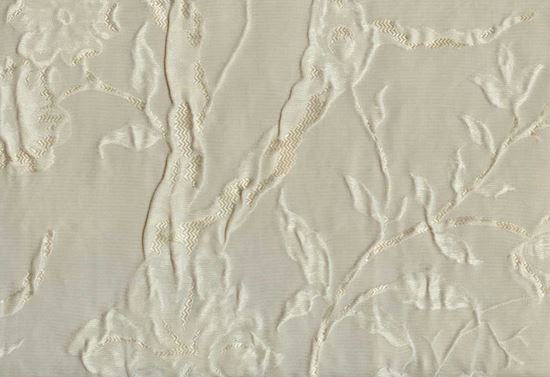 Picture of CLARA-CHAMPAGNE