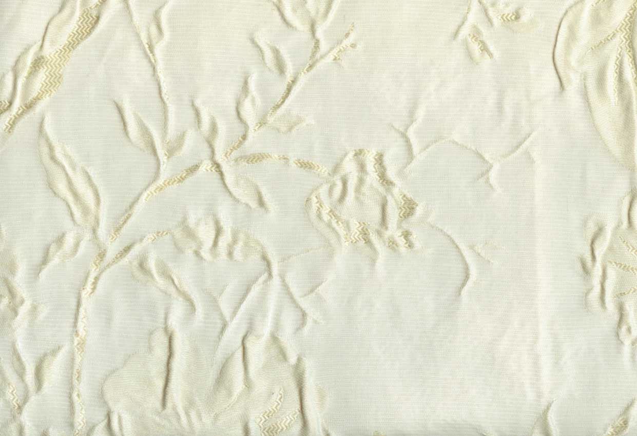 Picture of CLARA-PEARL