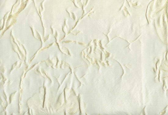 Picture of CLARA-PEARL